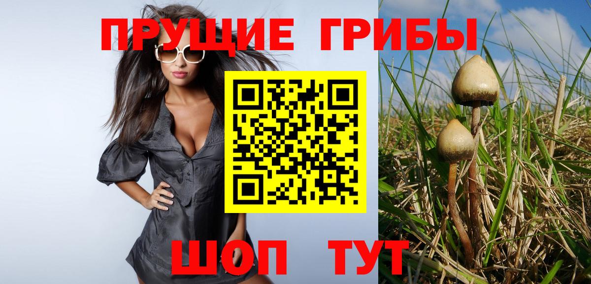 Галлюциногенные грибы прущие грибы  Вход с VPN  Галлюциногенные грибы Cubensis  Белгород 