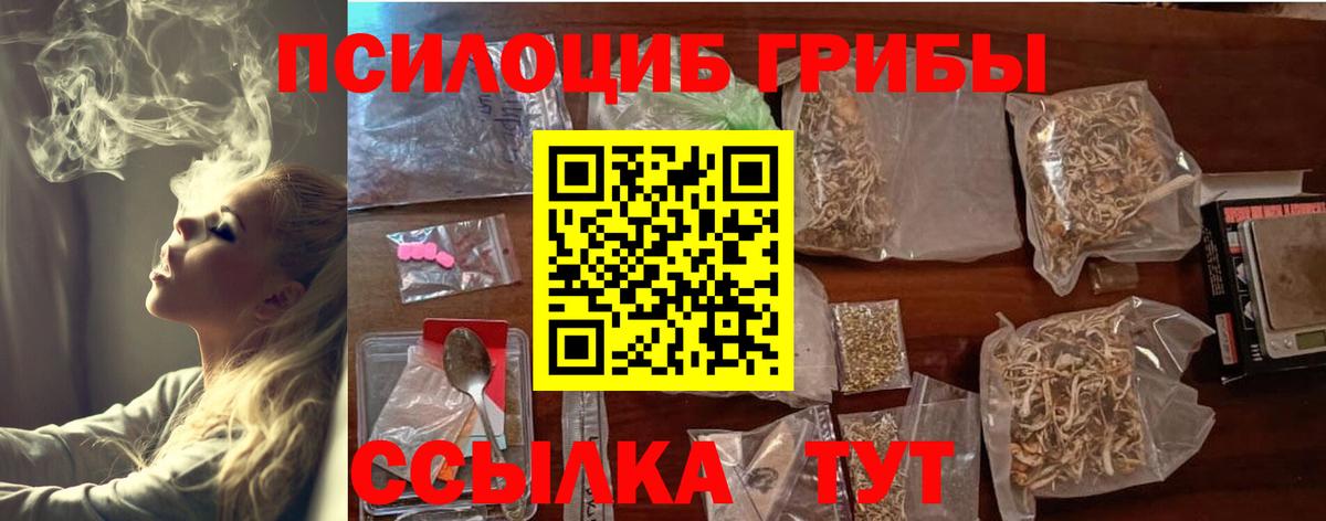 Псилоцибиновые грибы прущие грибы  Белгород  Галлюциногенные грибы Psilocybe 